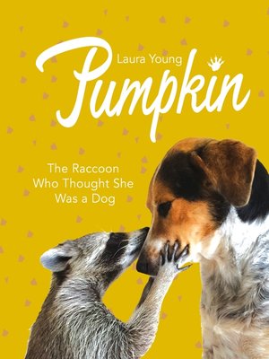 cover image of Pumpkin